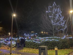 Christmas Lights at Bedford