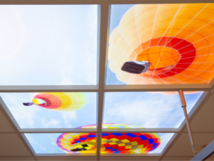 Sky Panels showing hot air balloons