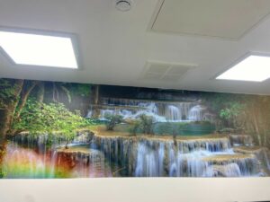 A wall mural showing waterfalls and nature