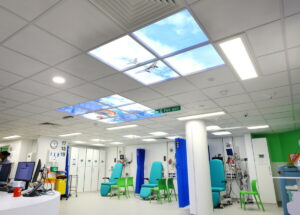 Cubicles with the sky panels on the ceiling