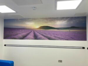 Mural in Adult CAMDs room