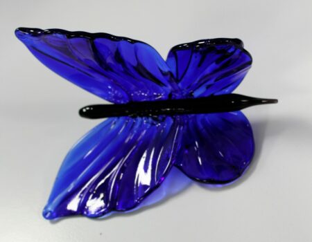 A blue butterfly