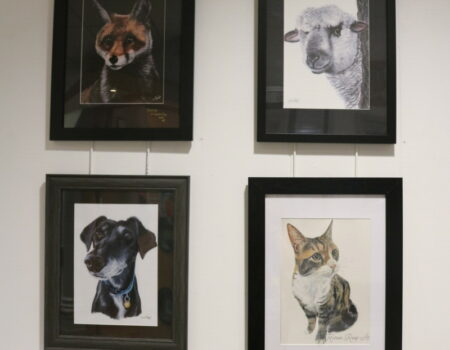 Artwork of a fox, dog, cat and sheep