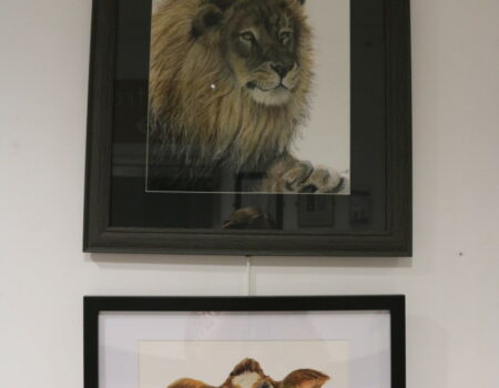 Artwork of a lion and cow