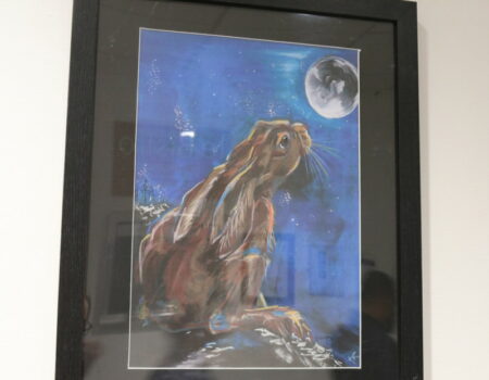 Artwork of a hare sitting on some rocks in the moonlight