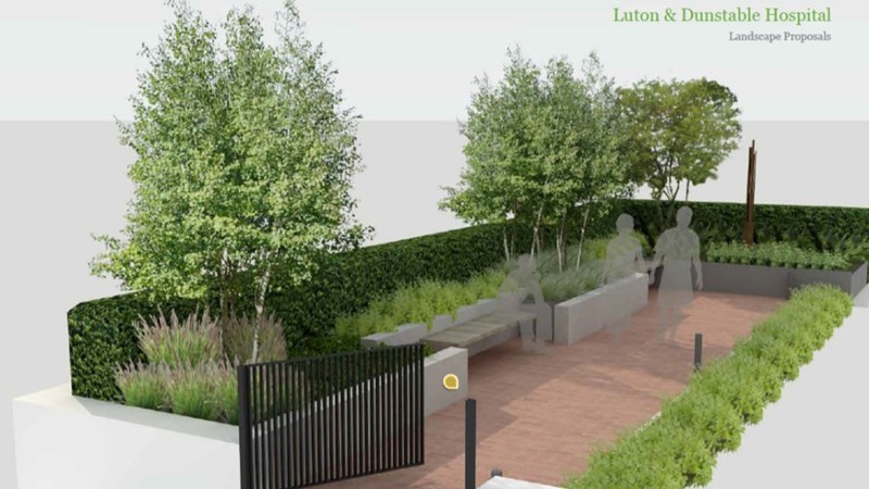 Garden depiction