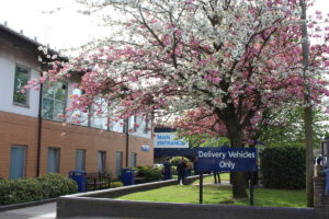 L&D hospital picture