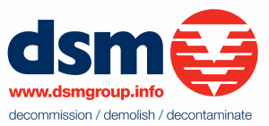 DSM Logo