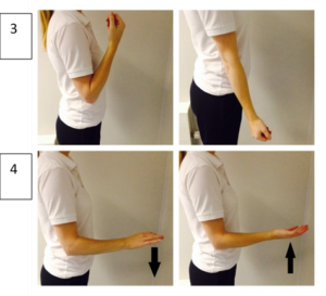 Elbow exercises demonstrating rotation and flexing