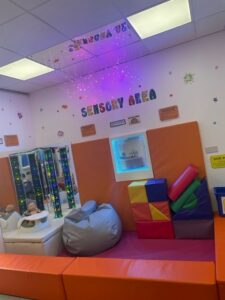 Sensory area