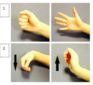 Wrist exercises demonstrating rotation and flexing of the hand