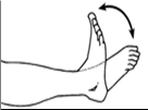 Ankle exercises showing flexing of feet and toes up and down