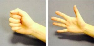 Bend and straighten your fingers and thumb demonstration