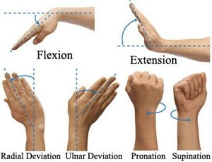 Splint or cast removal exercises