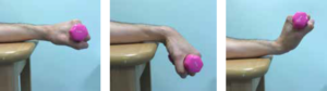 Wrist flexion and extension exercise