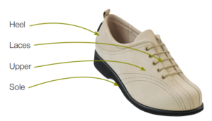 Diagram of a shoe