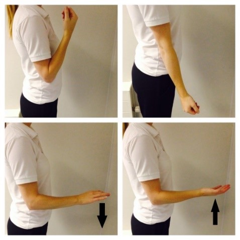 Four photos depicting elbow exercise. Top left shows arm bent at elbow towards the body. Top right shows arm released down by the side of the body. Bottom left shows elbow bent at a right angle with palm face down. Bottom right show elbow bent at right angle with palm facing upwards.